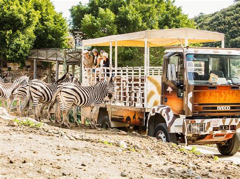 Selwo Aventura: un parque único ¡muy cerca de Málaga!